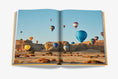 Load image into Gallery viewer, ASSOULINE Alula Ever Book