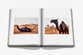 Load image into Gallery viewer, Camels from Saudi Arabia (Classic)