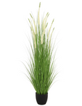 Load image into Gallery viewer, LONGJIN Artificial White Eremurus 170 cm - 32