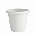 Load image into Gallery viewer, SERRALUNGA 1825 Camelia Small White Pot