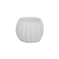 Load image into Gallery viewer, GUAXS Manakara White Tealight