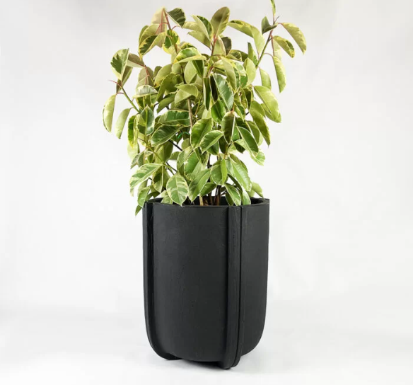 Elegant Vases & Flowers to Elevate Homes