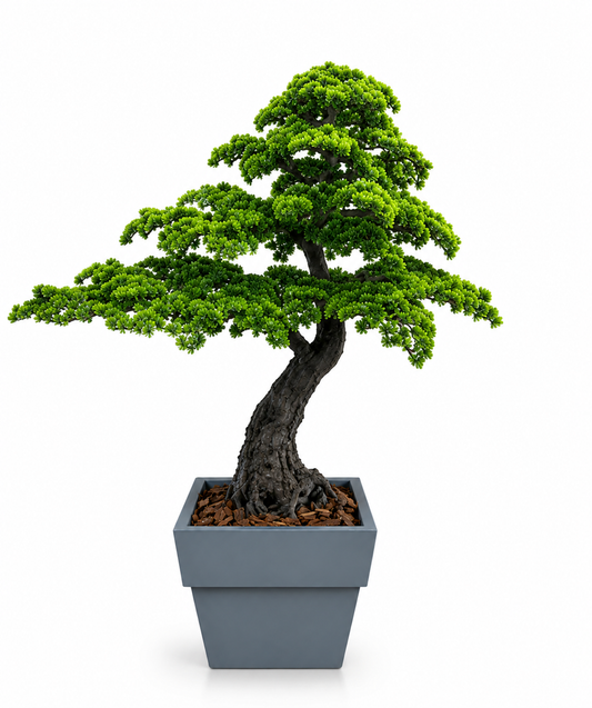 Artificial Bonsai Tree H250CM