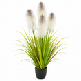 Load image into Gallery viewer, LONGJIN Artificial Plume Grass 152 cm - 6
