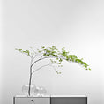 Load image into Gallery viewer, Fishmouth Vase-L
