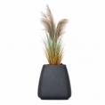 Load image into Gallery viewer, LONGJIN Artificial Beige Dried Pampas 140 cm - 33
