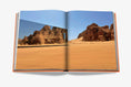 Load image into Gallery viewer, ASSOULINE Alula Ever Book

