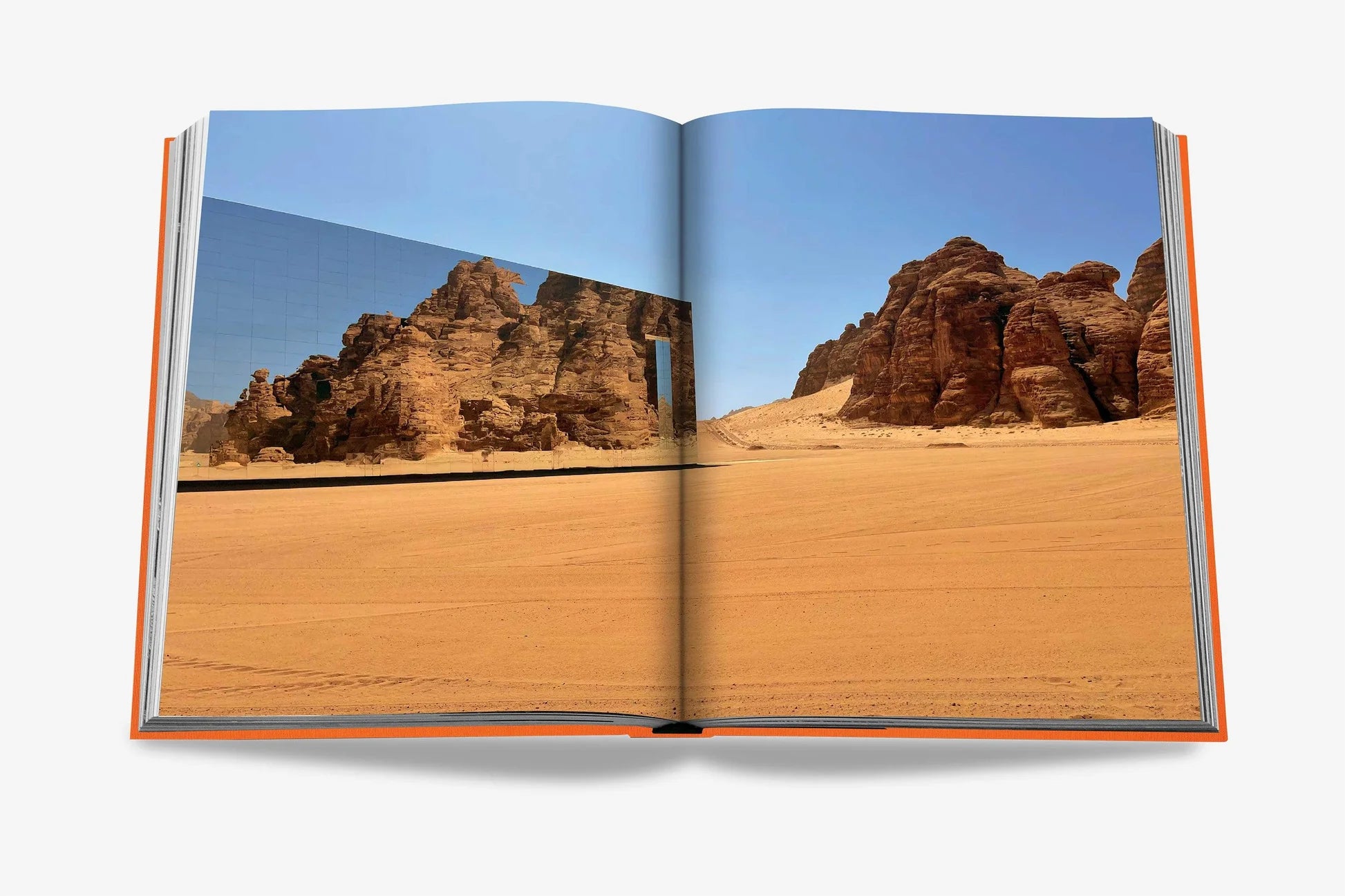 ASSOULINE Alula Ever Book