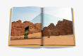 Load image into Gallery viewer, ASSOULINE Alula Ever Book
