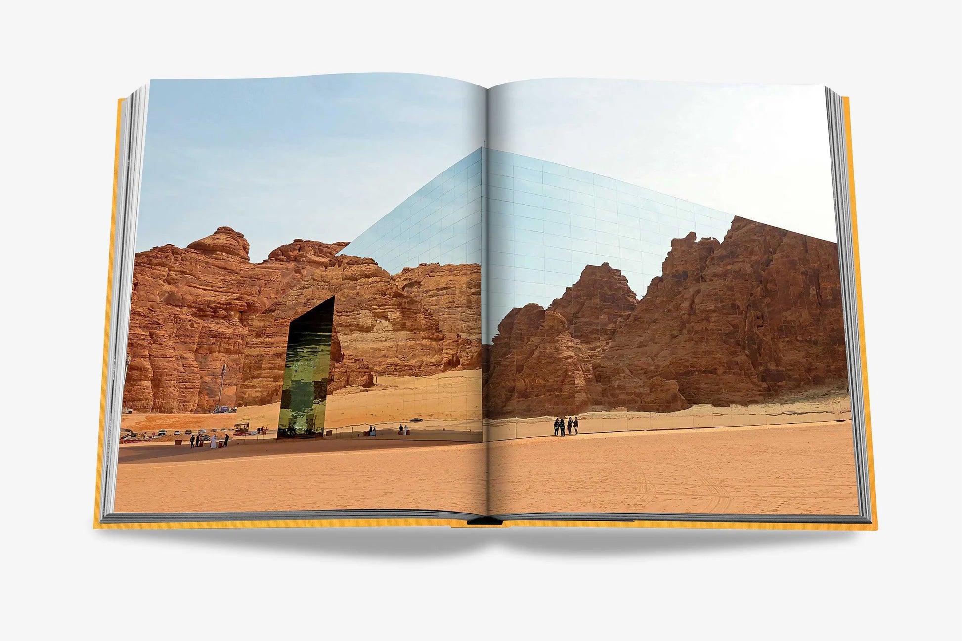 ASSOULINE Alula Ever Book