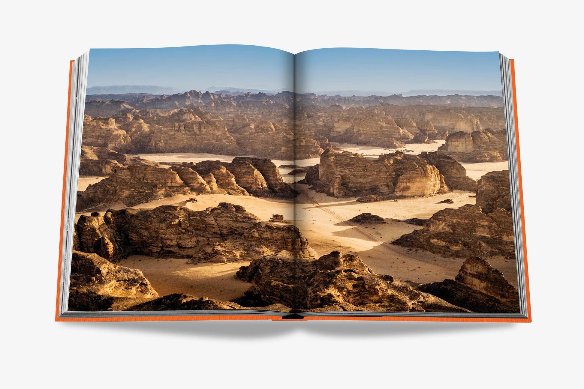 ASSOULINE Alula Ever Book
