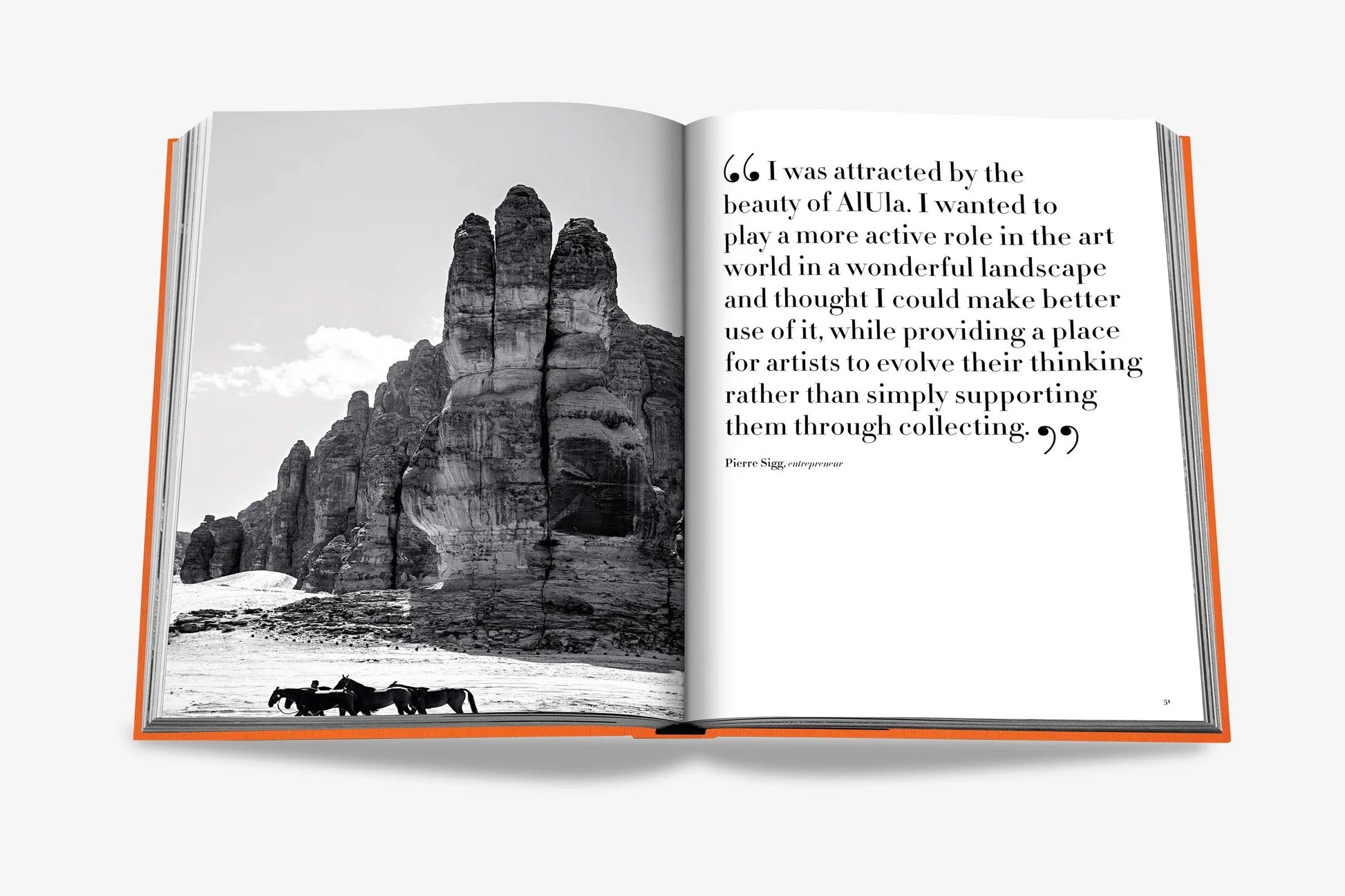 ASSOULINE Alula Ever Book