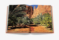 Load image into Gallery viewer, ASSOULINE Alula Ever Book
