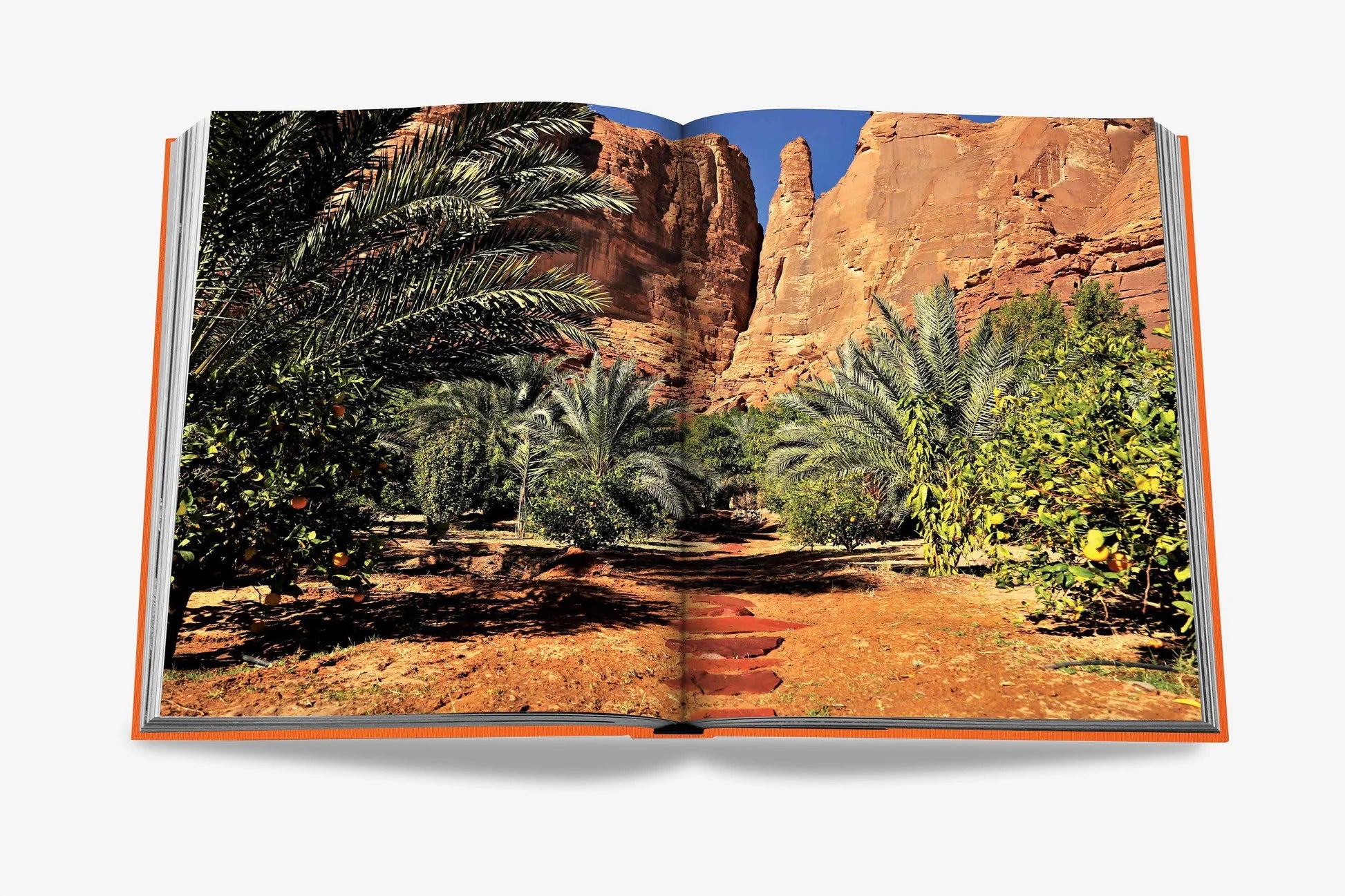 ASSOULINE Alula Ever Book