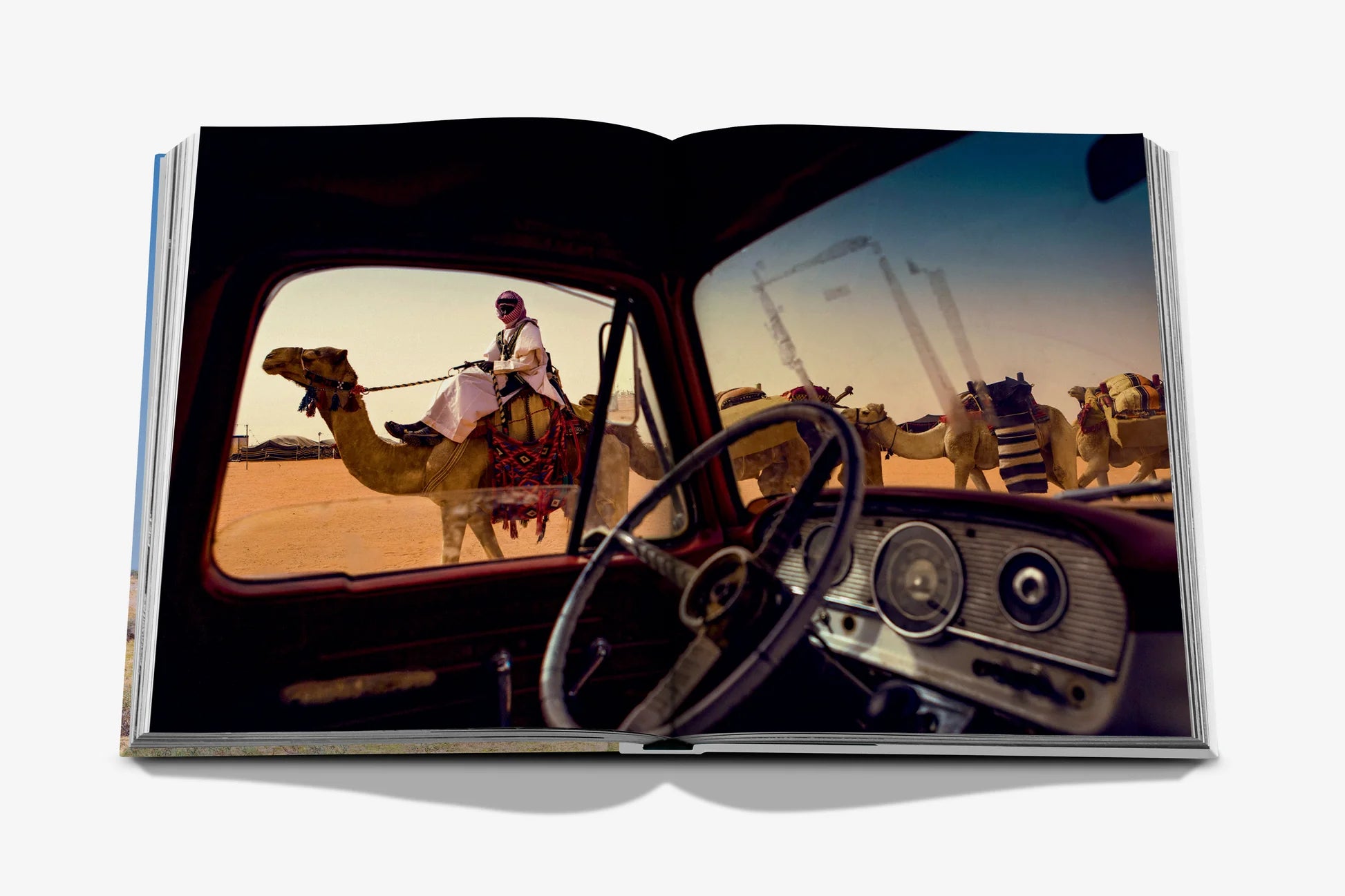 Camels from Saudi Arabia (Classic)
