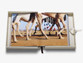 Load image into Gallery viewer, Grace in The Desert: The Beauty of Saudi Arabia's Camels
