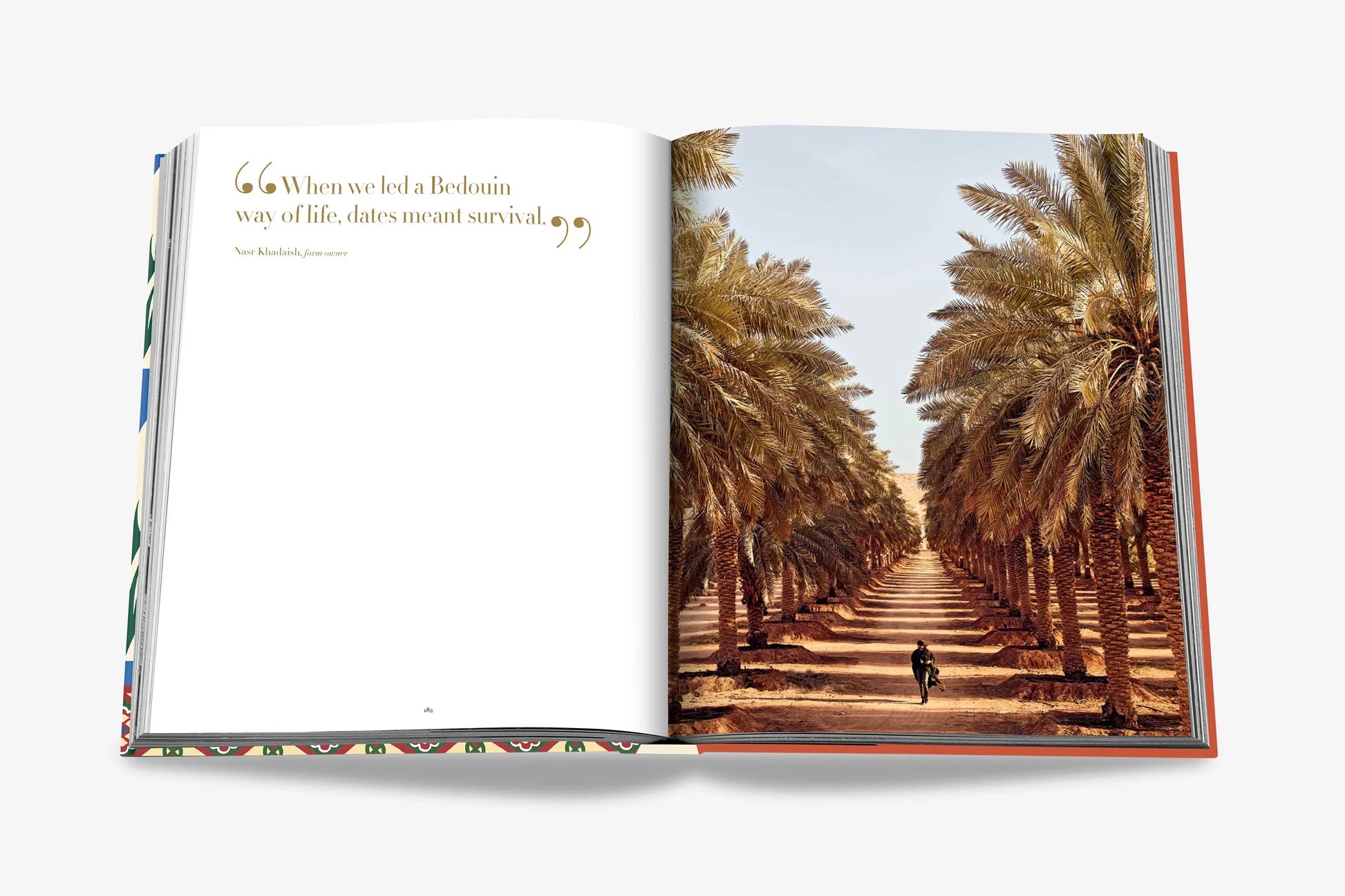 أسولين - التمور السعودية: صورة لكتاب الفاكهة المقدسة