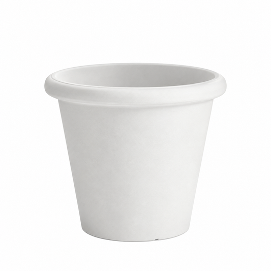 SERRALUNGA 1825 Camelia Small White Pot