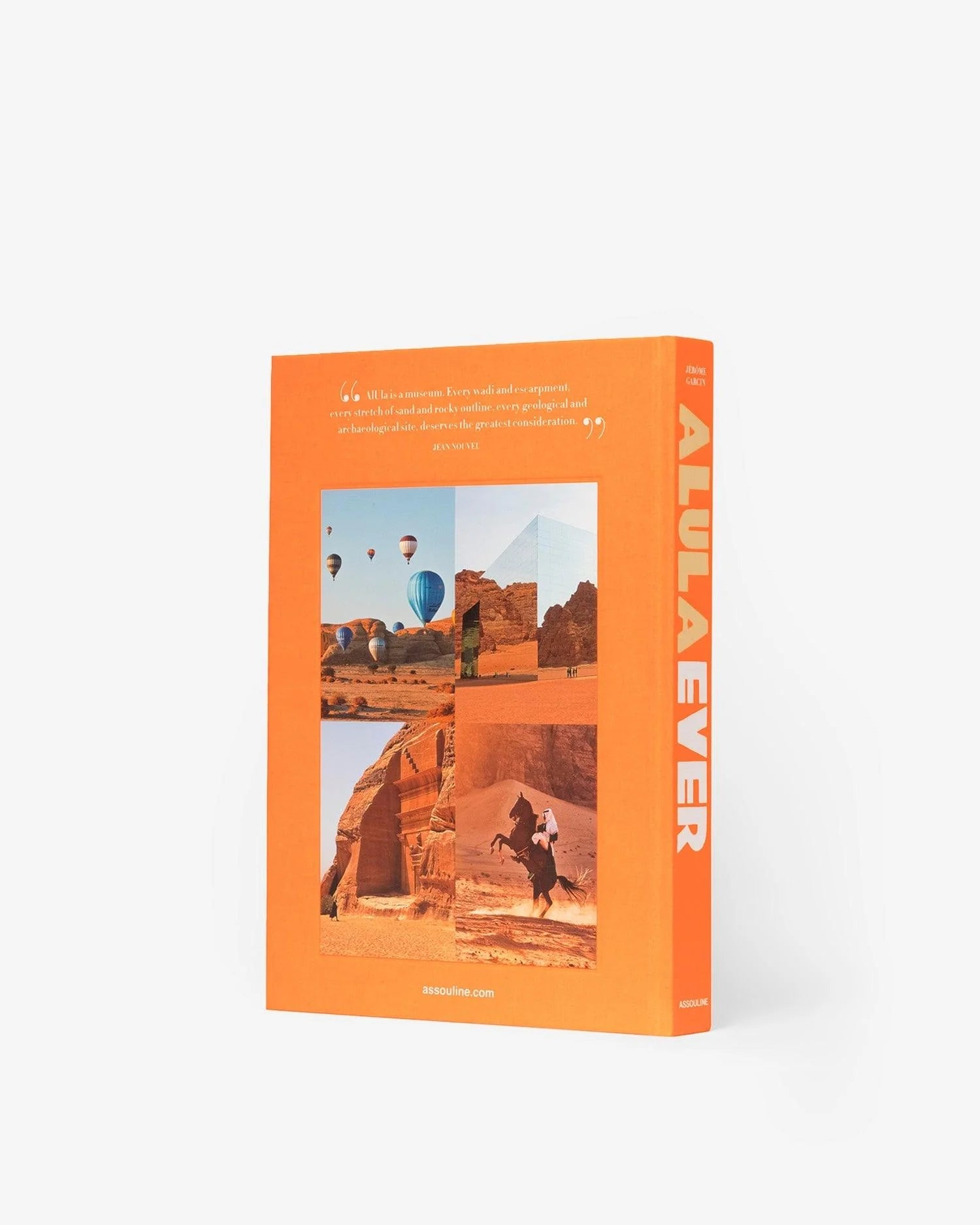ASSOULINE Alula Ever Book