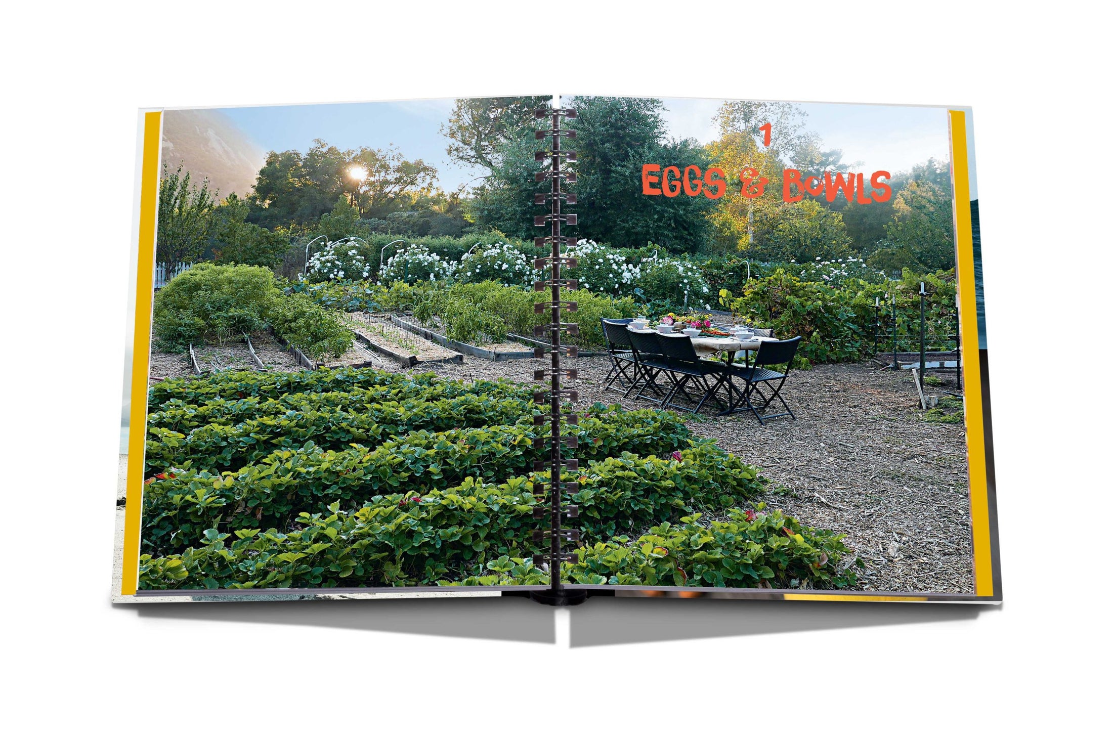 ASSOULINE The Ashram : The Way We Eat Book