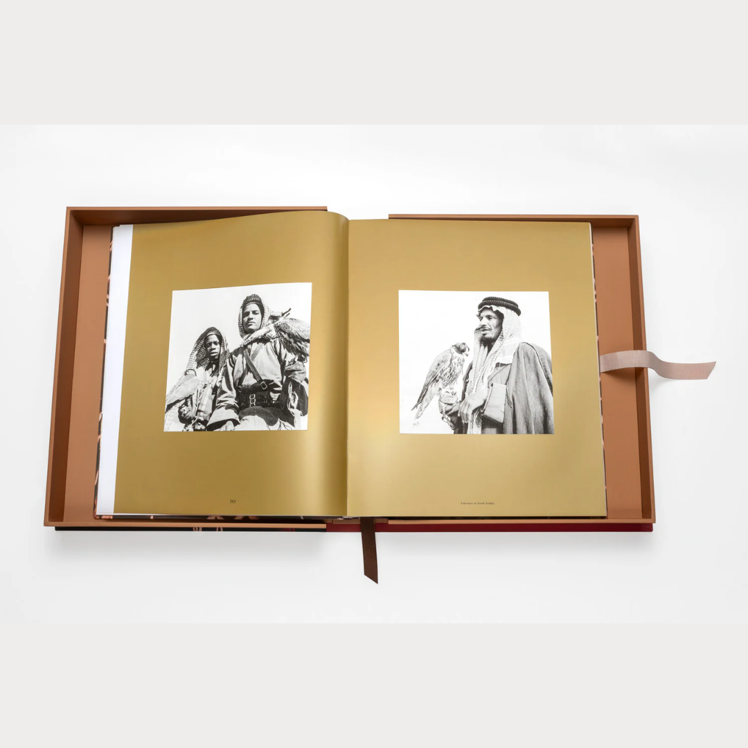 كتاب أسولين: صقور من المملكة العربية السعودية