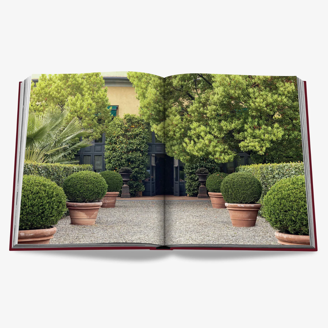 ASSOULINE Michele Bonan: Signature Details Book