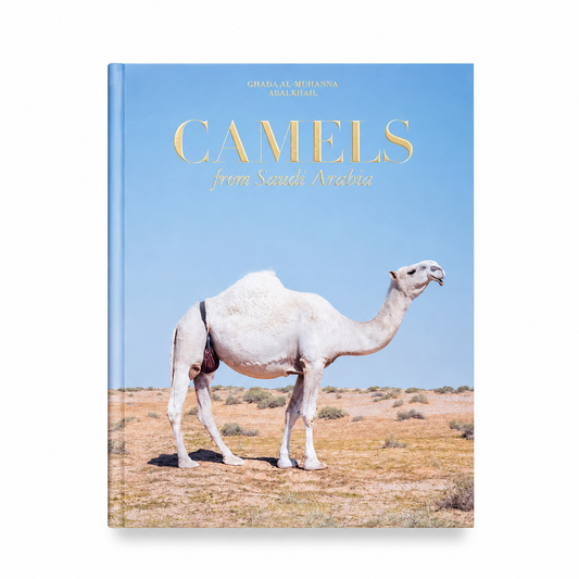 Camels from Saudi Arabia (Classic)