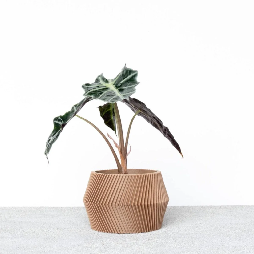 الحد الأدنى من تصميم وعاء التبديد