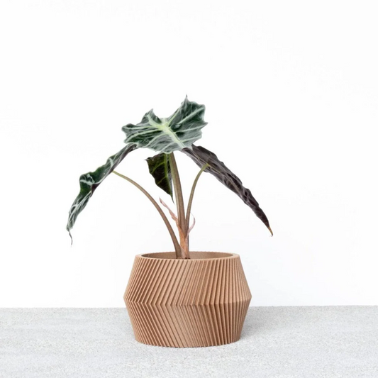 الحد الأدنى من تصميم وعاء التبديد