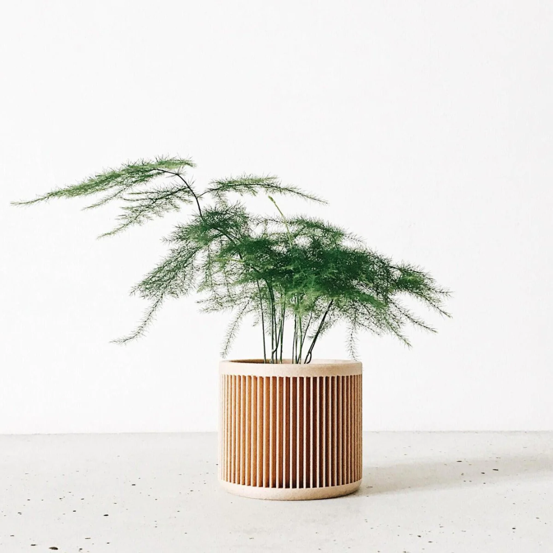 الحد الأدنى من التصميم الياباني للوعاء