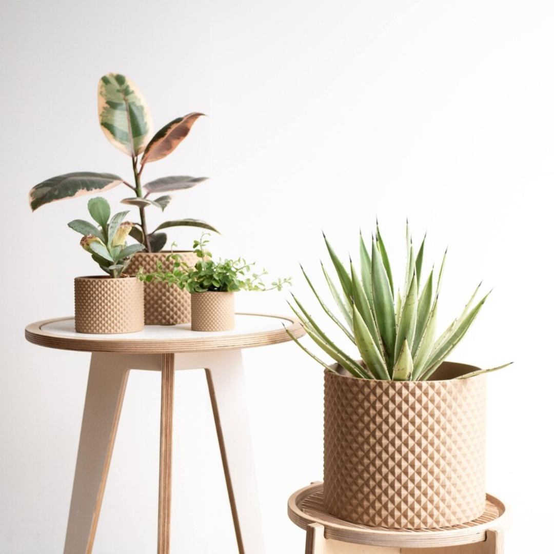 وعاء بيكو بتصميم بسيط