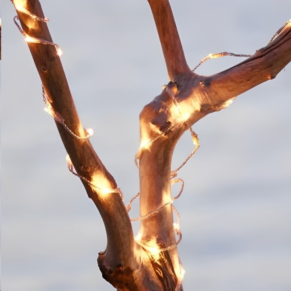 سلسلة إضاءة SIRIUS JASON 40 LED