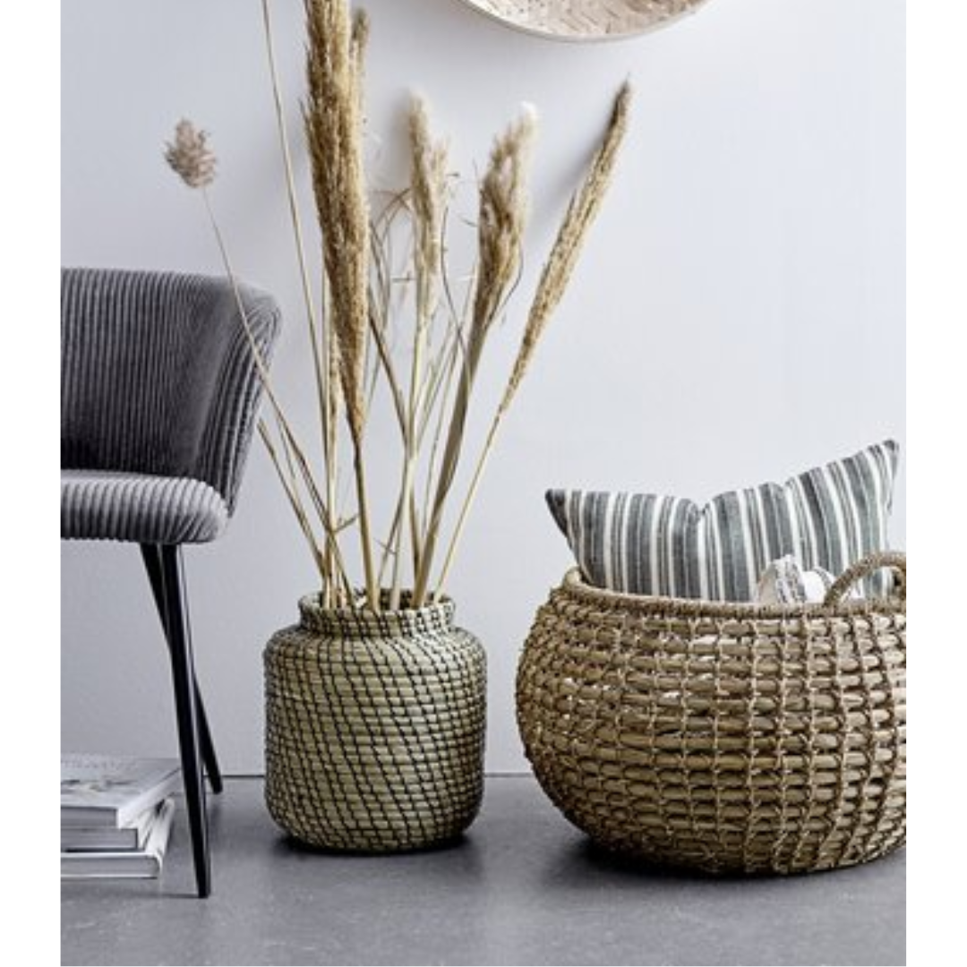 سلة بلومينغفيل مينت